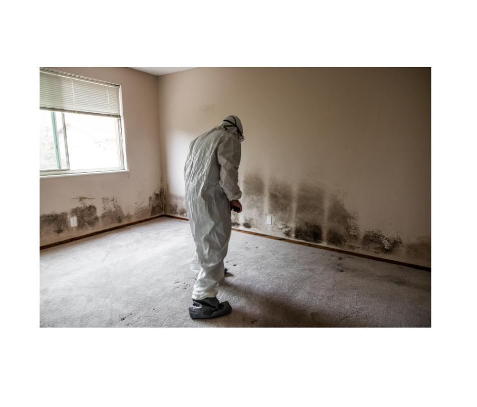 Mold Remediation on Long Island
